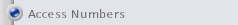 Access Numbers